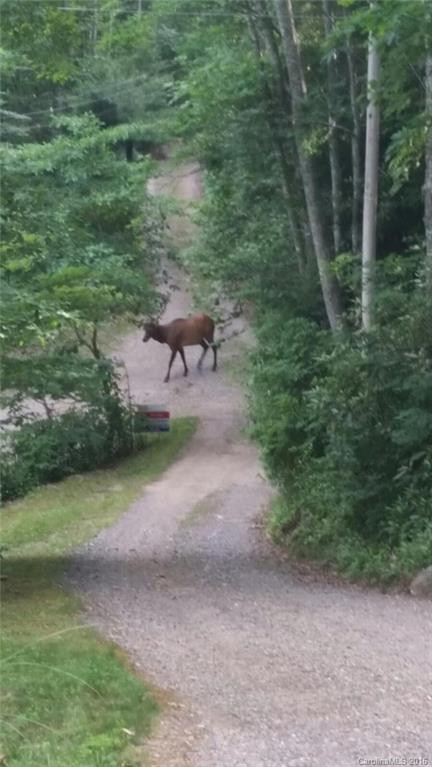 71 Yonder Trail - Photo 24