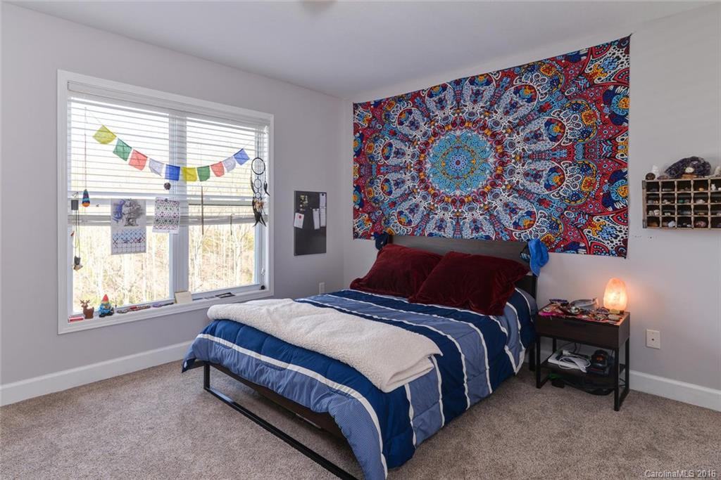 339 Scarlet Tanager Court - Photo 13