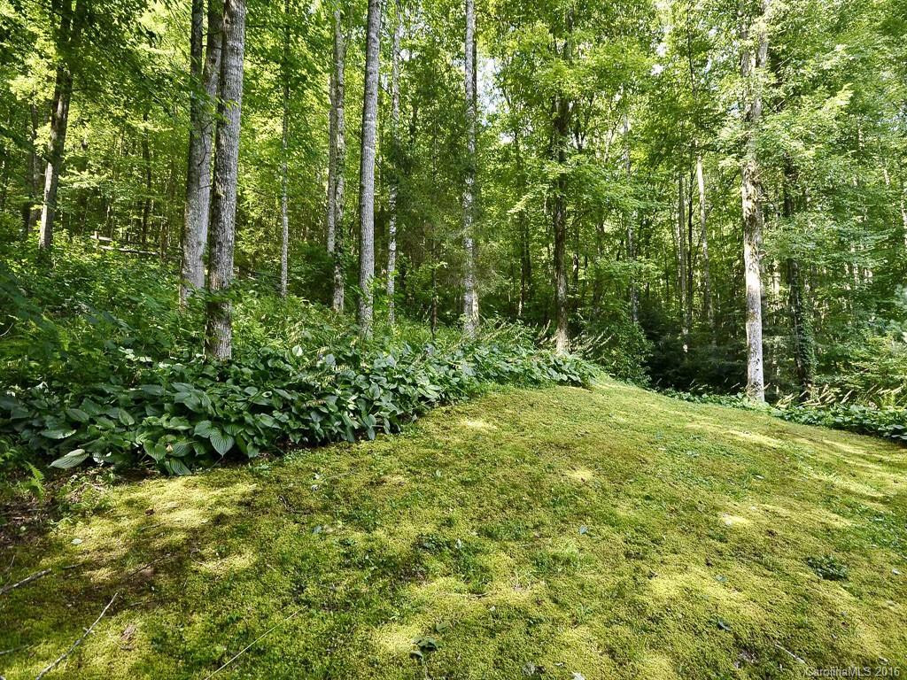 11 Ravenwood Lane #9 - Photo 12