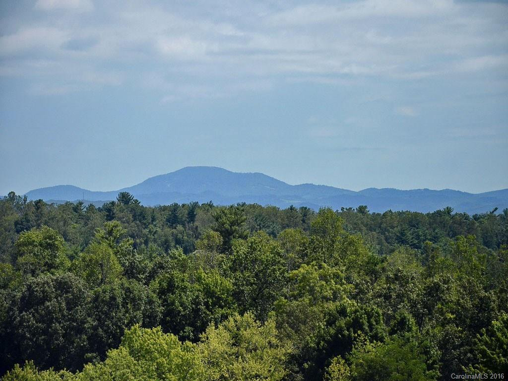 359 Shaws Creek Farm Road #50 - Photo 15