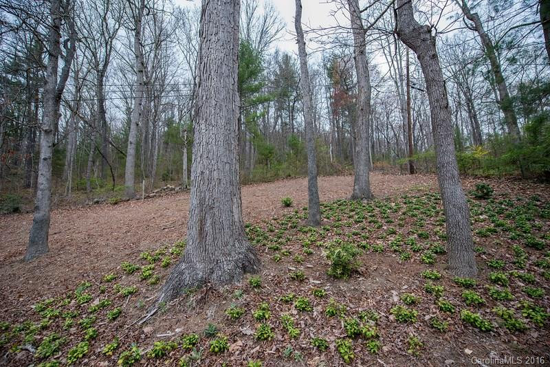 76 Sleepy Hollow Drive - Photo 4