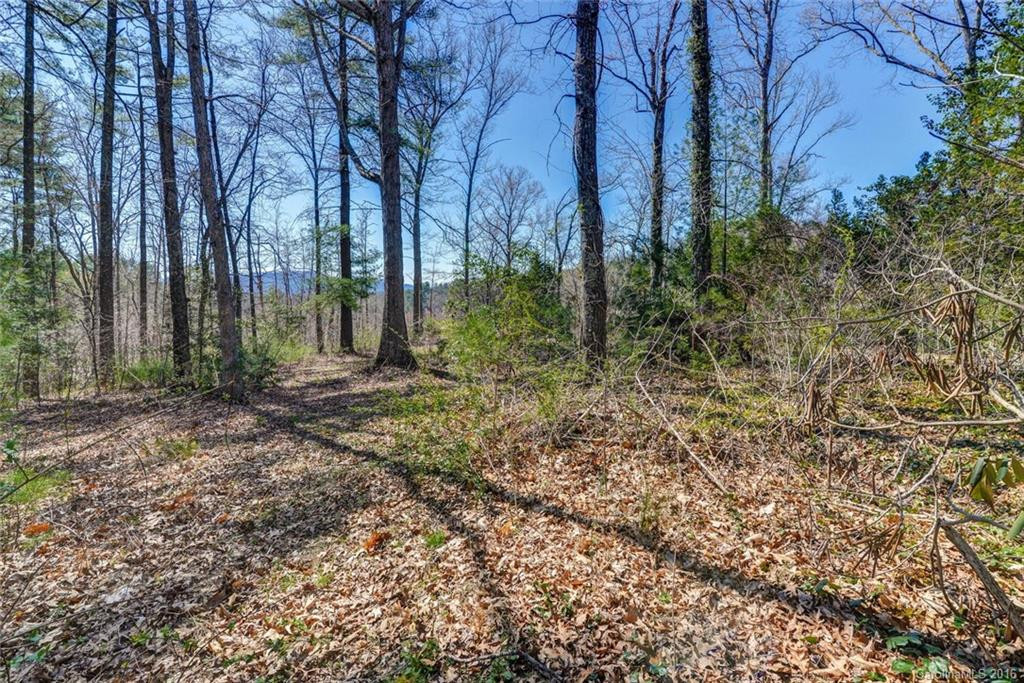 221 Plains Drive - Photo 22