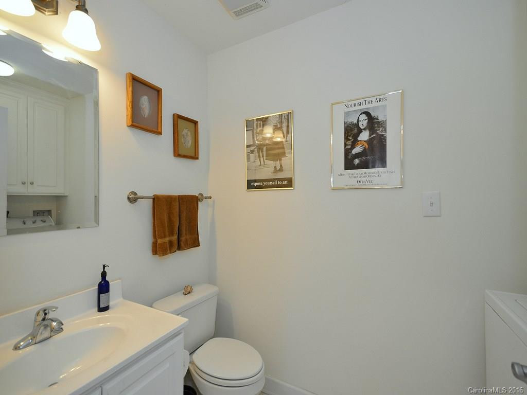 233 Lewis Creek Drive - Photo 11