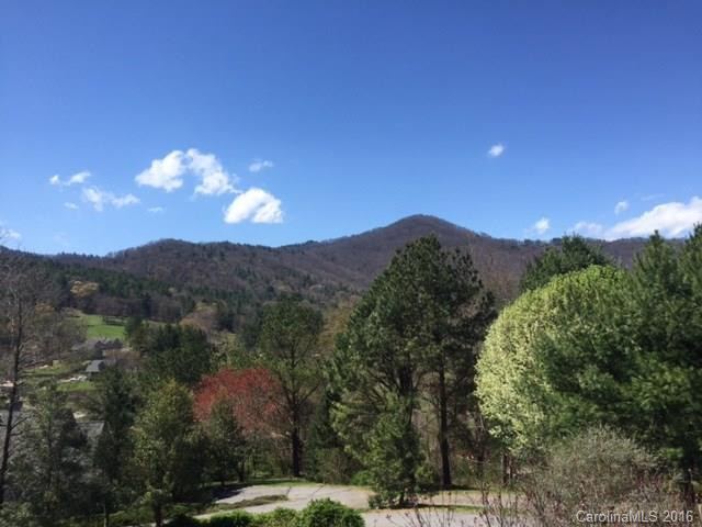204 Blue Ridge Vista - Photo 3