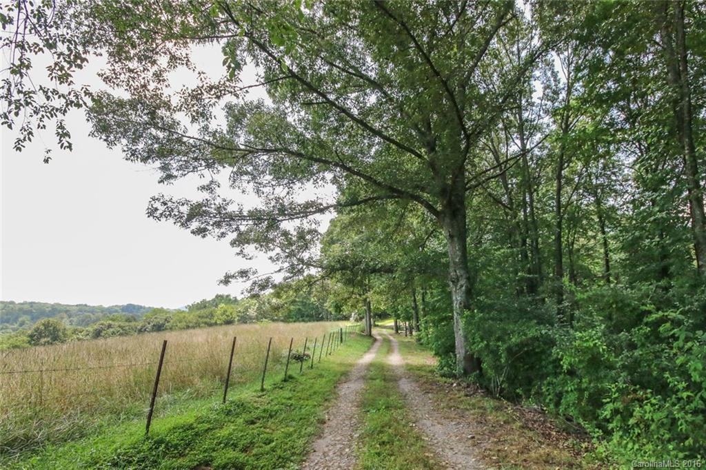 81 Hominy Heights Lane - Photo 2