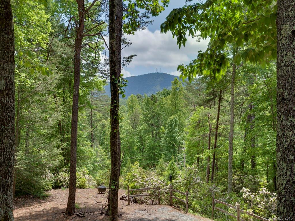 356 Deep Woods Lane - Photo 2