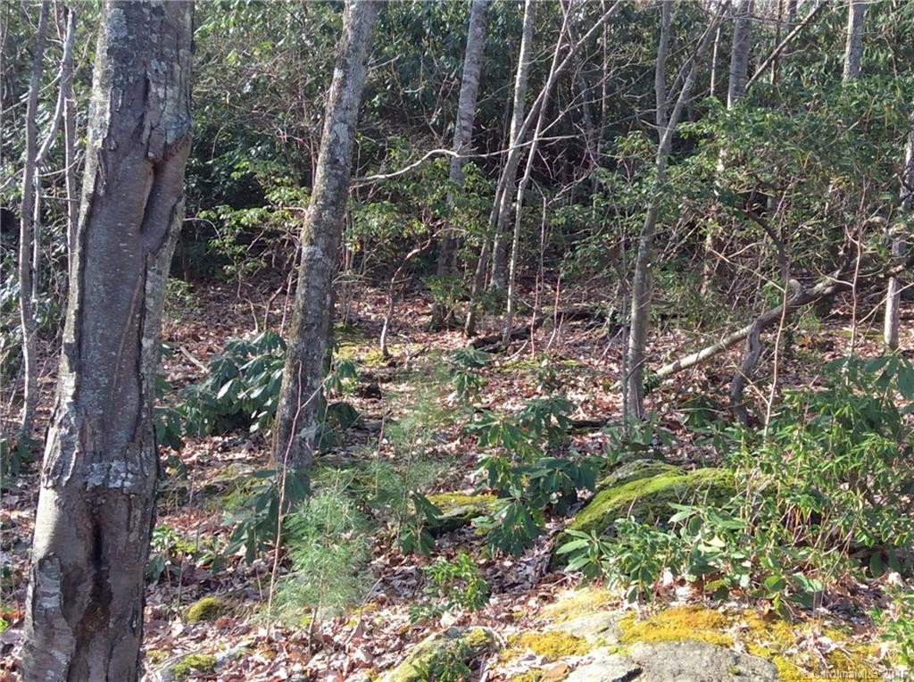 5895 Pinnacle Mountain Road - Photo 6