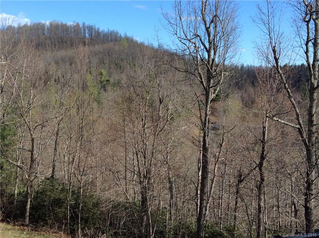 5895 Pinnacle Mountain Road - Photo 7