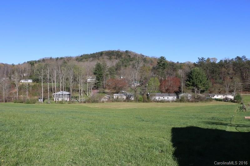 569 Upper Grassy Branch Extension - Photo 6