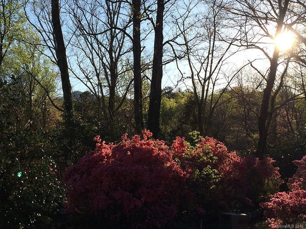 590 Wilderness Road - Photo 16