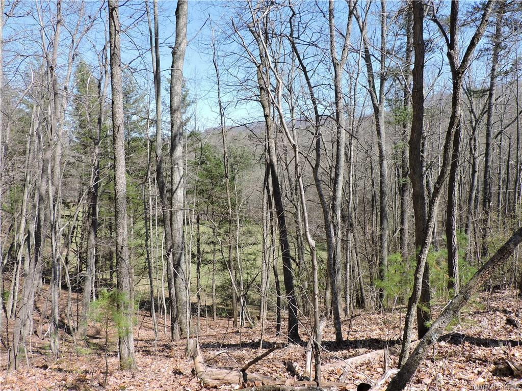 2861 Prices Creek Road #01428 - Photo 23