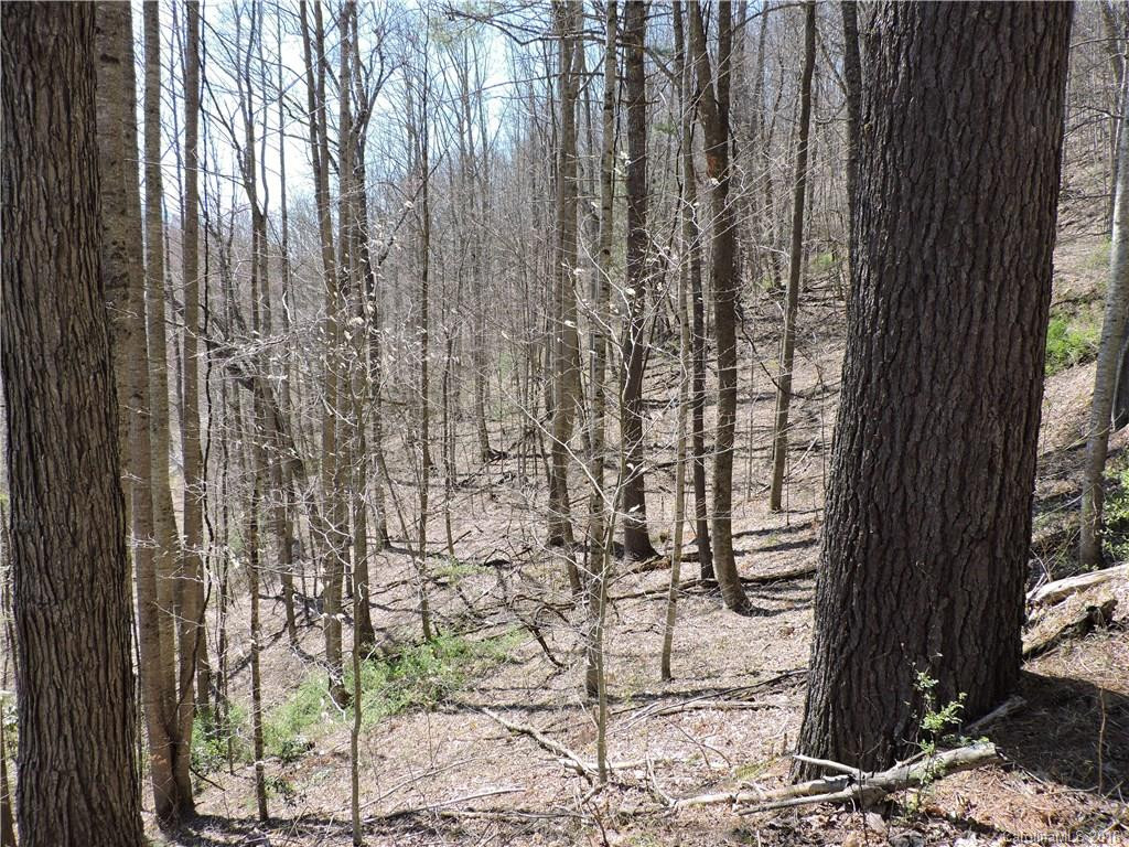 2861 Prices Creek Road #01428 - Photo 24