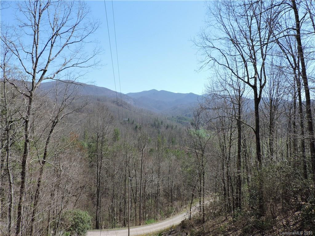 2861 Prices Creek Road #01428 - Photo 6