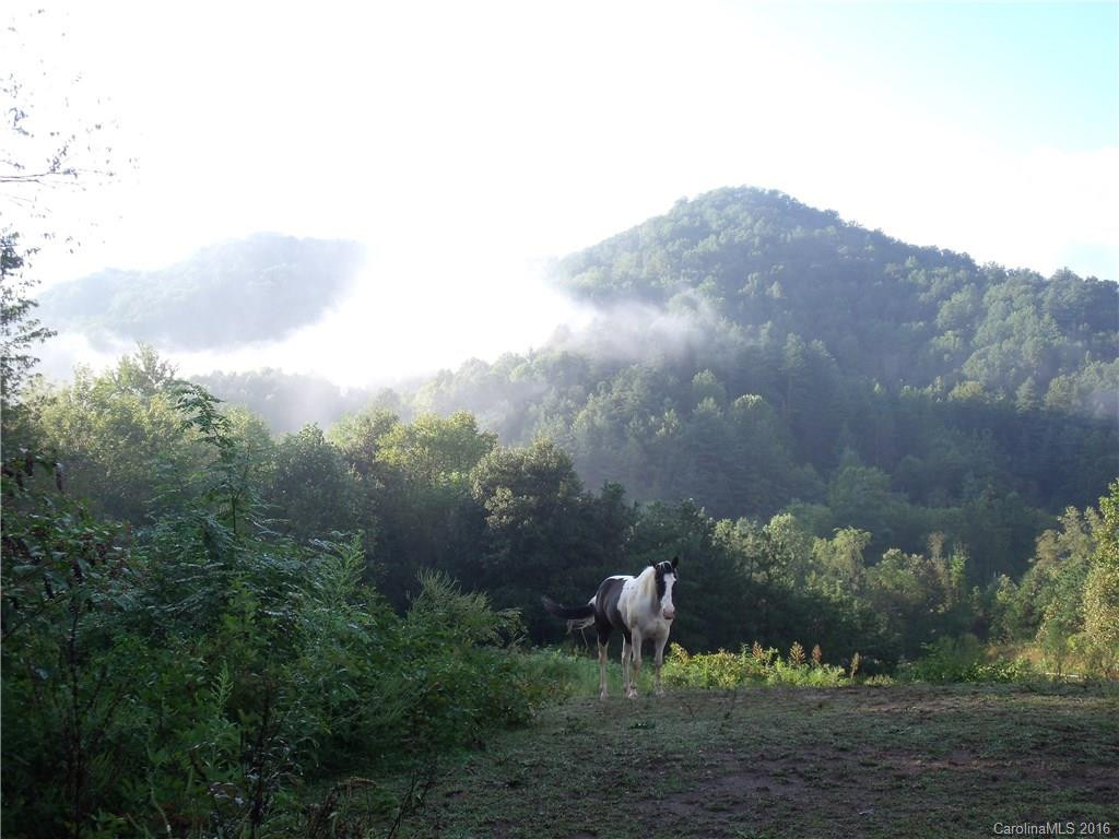 9199 NC 63 Highway - Photo 19