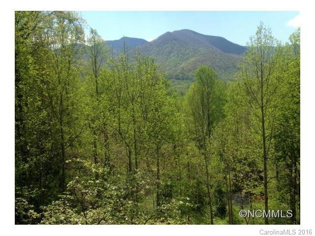 49 Sunrise Ridge Street - Photo 14