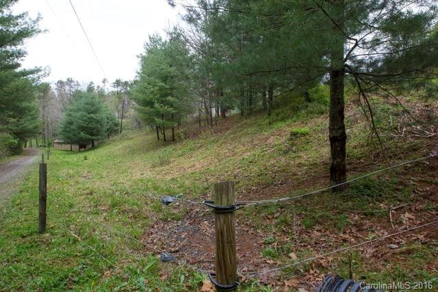 110 Walt Haven Drive - Photo 3