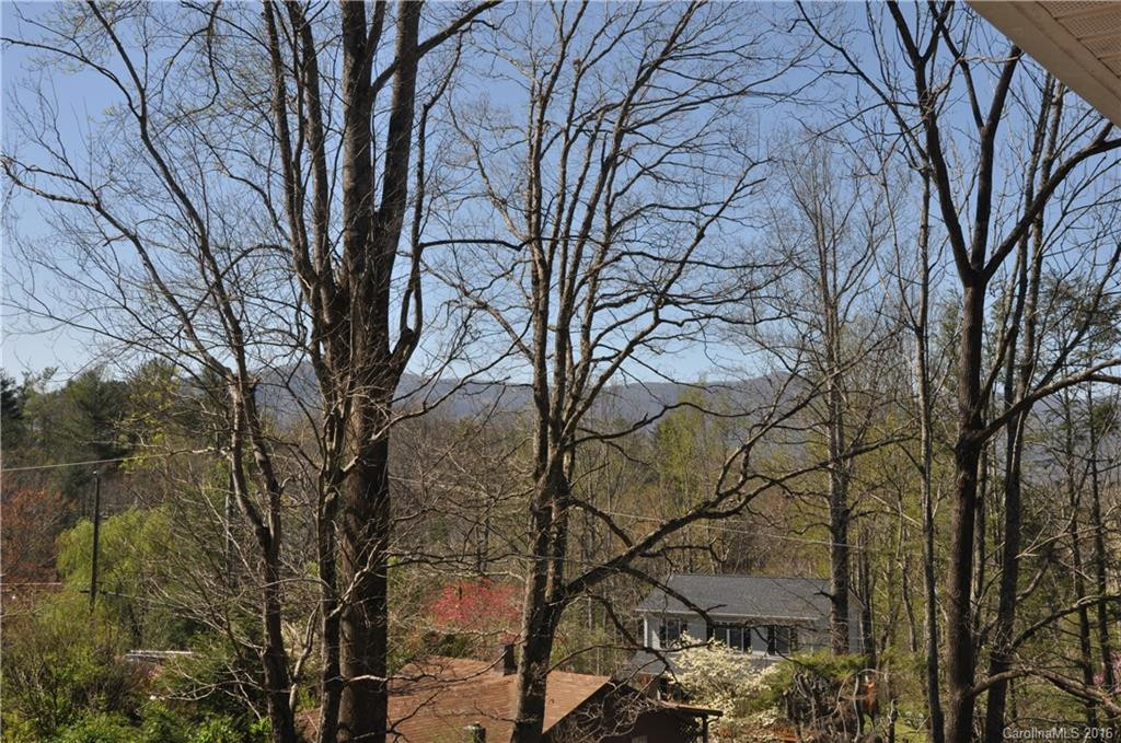 10 Painted Trillium Trail - Photo 17