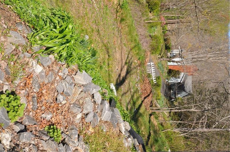 10 Painted Trillium Trail - Photo 18