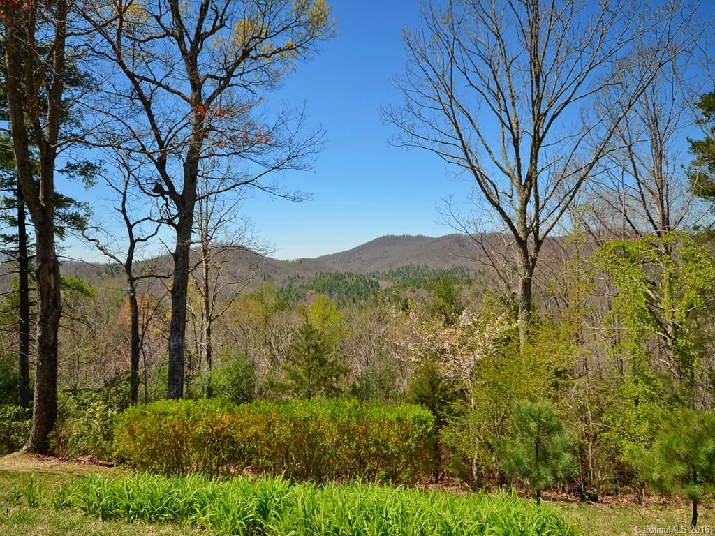 1412 Rambling Oaks Trail - Photo 8