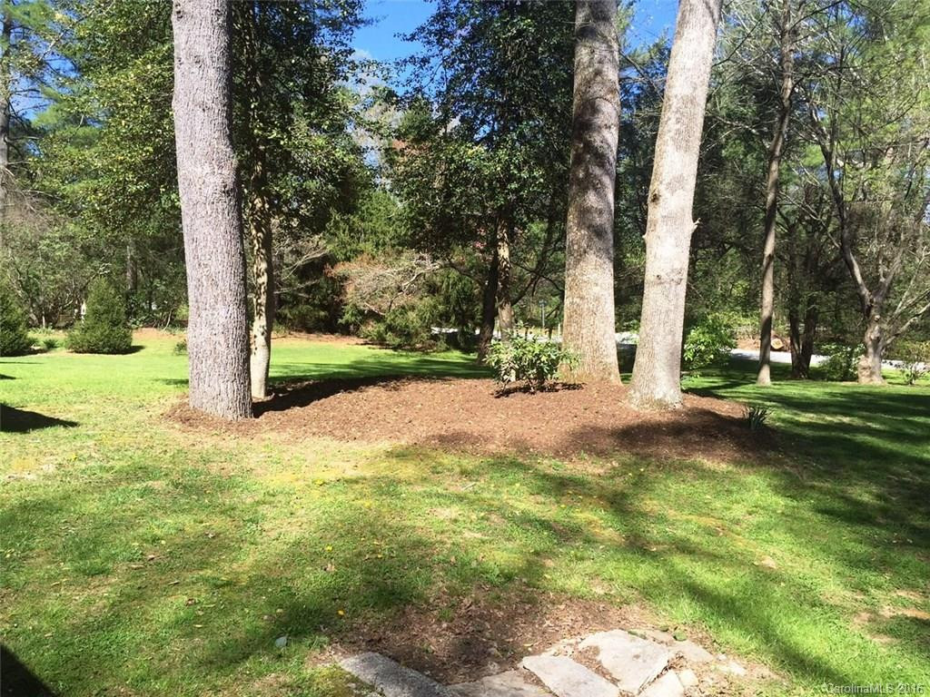 121 Rugby Forest Lane - Photo 3