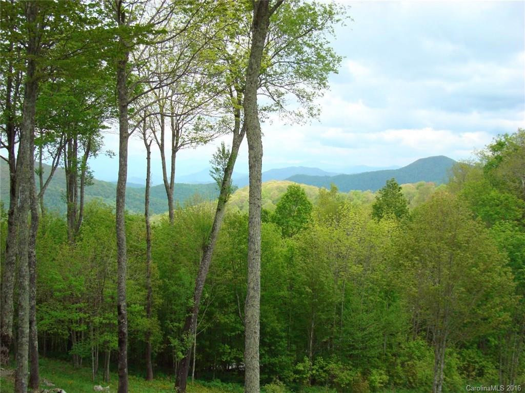 403 Eagles Nest Court #403 - Photo 3