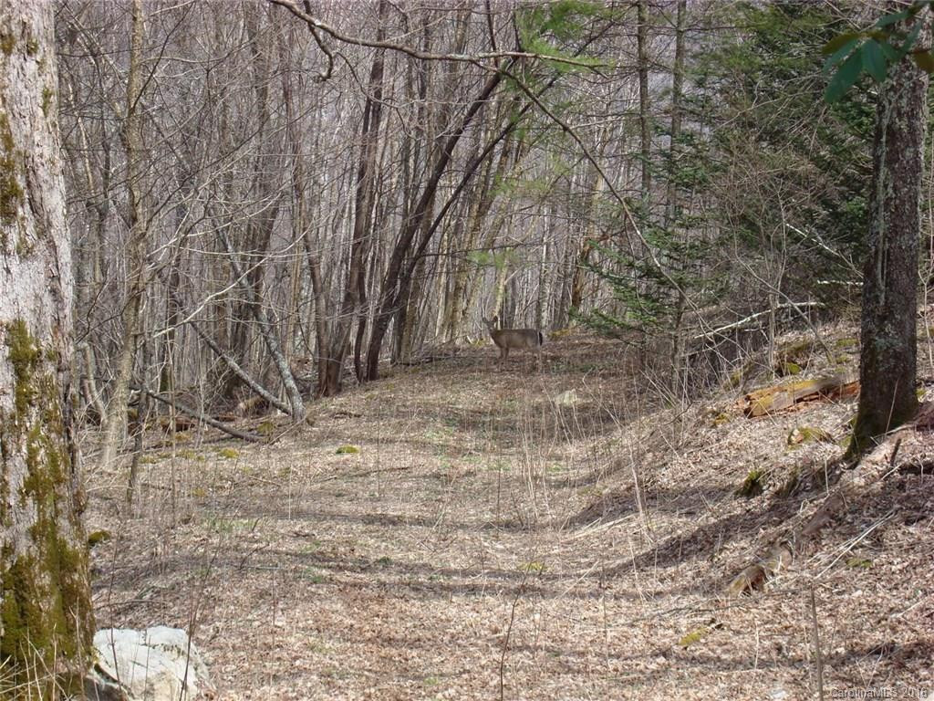 217 Lookout Drive - Photo 24