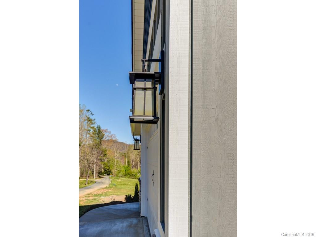 123 White Oak Extension - Photo 3