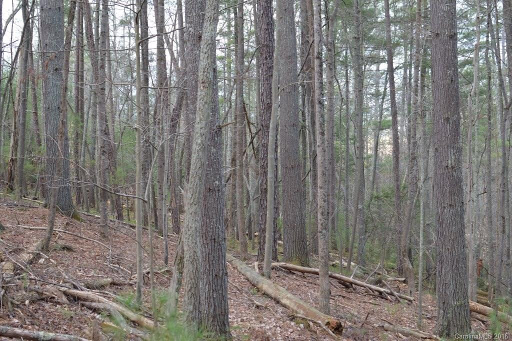 2286 Bear Creek Road - Photo 22