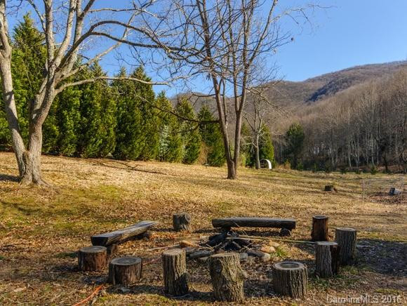 3512 Newfound Road - Photo 18