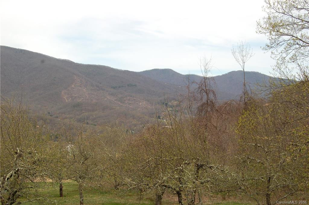 795 Red Bank Road - Photo 17