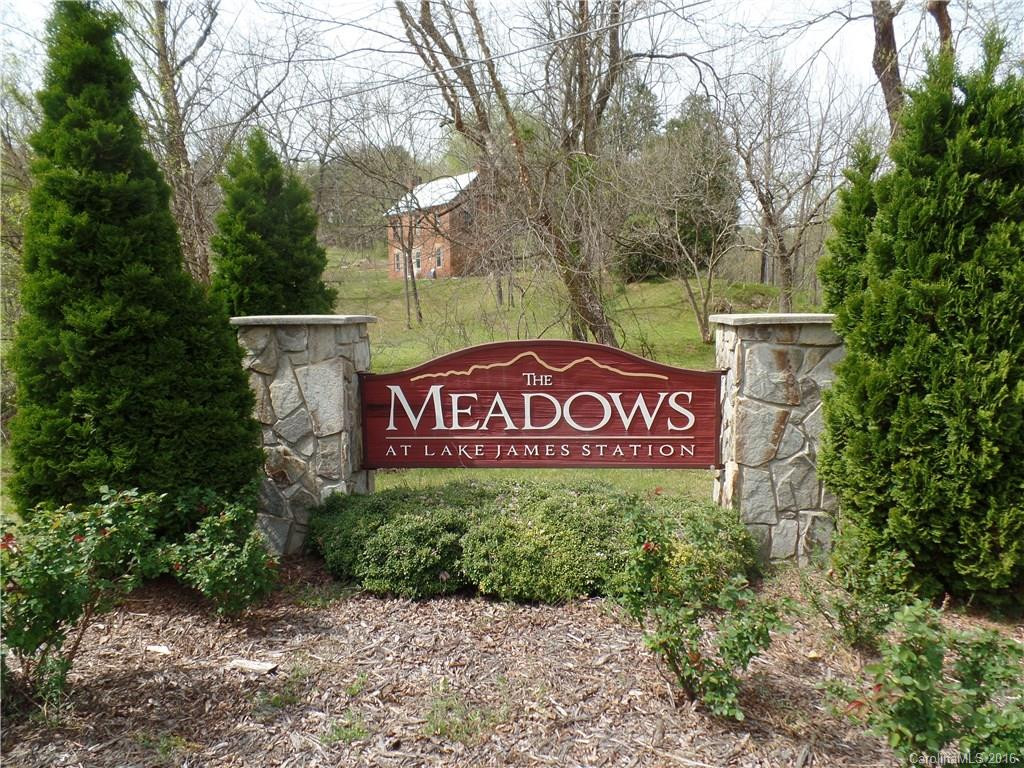 49757 Rutherford Road #lot 1 - Photo 6