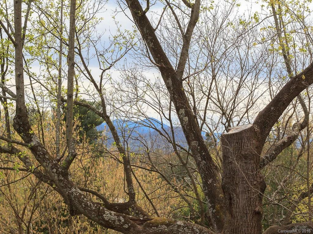 55 Longview Road - Photo 24