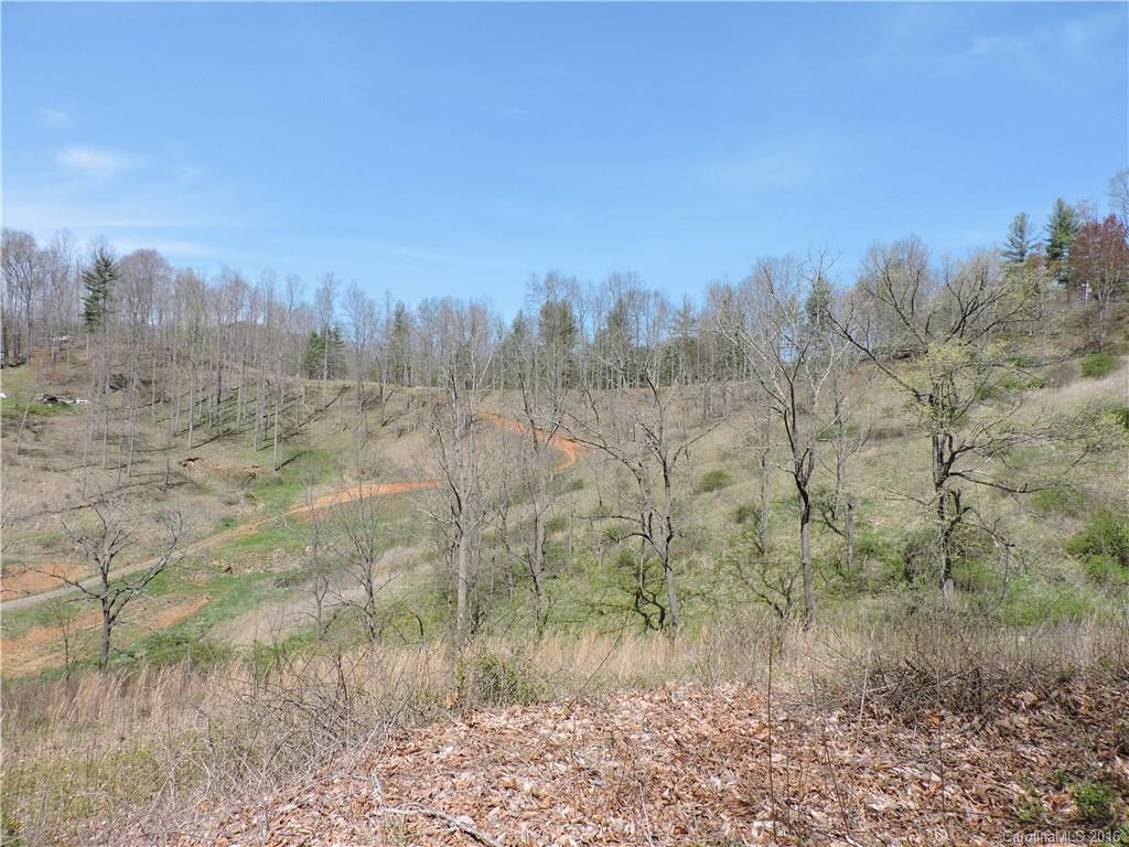 186 Clearmont Mtn Estates Road #01501-3 - Photo 9