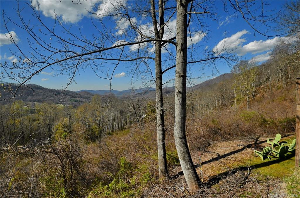 165 Myers Mountain Road - Photo 19