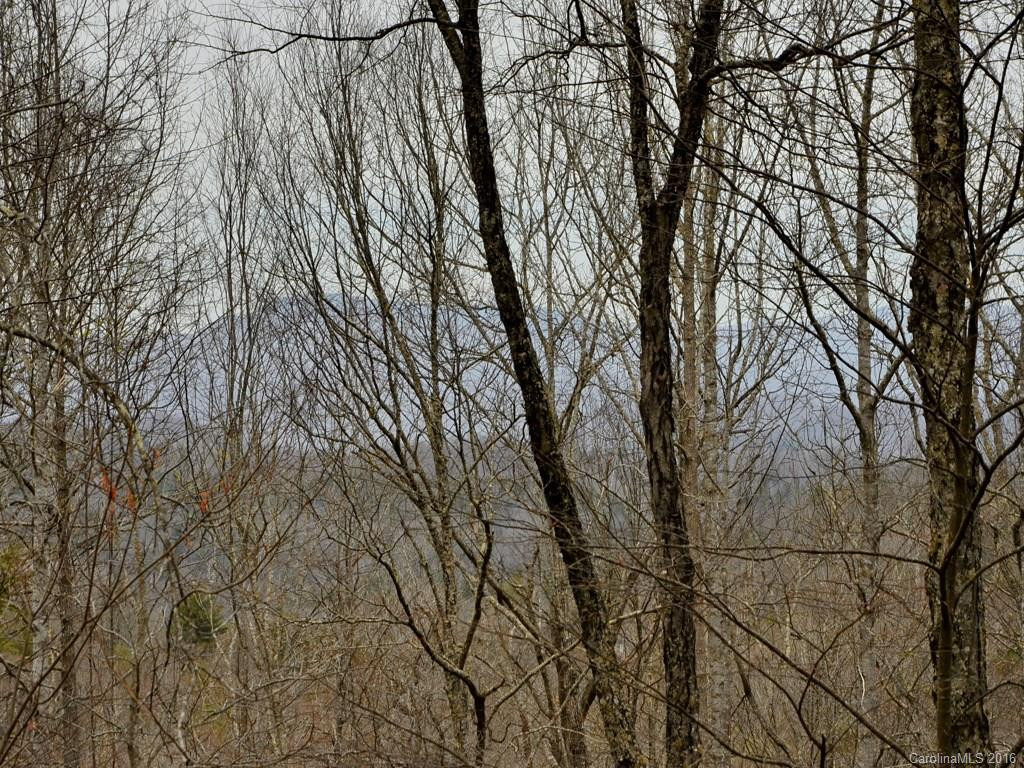 36 Poplar Ridge Lane #62 - Photo 5