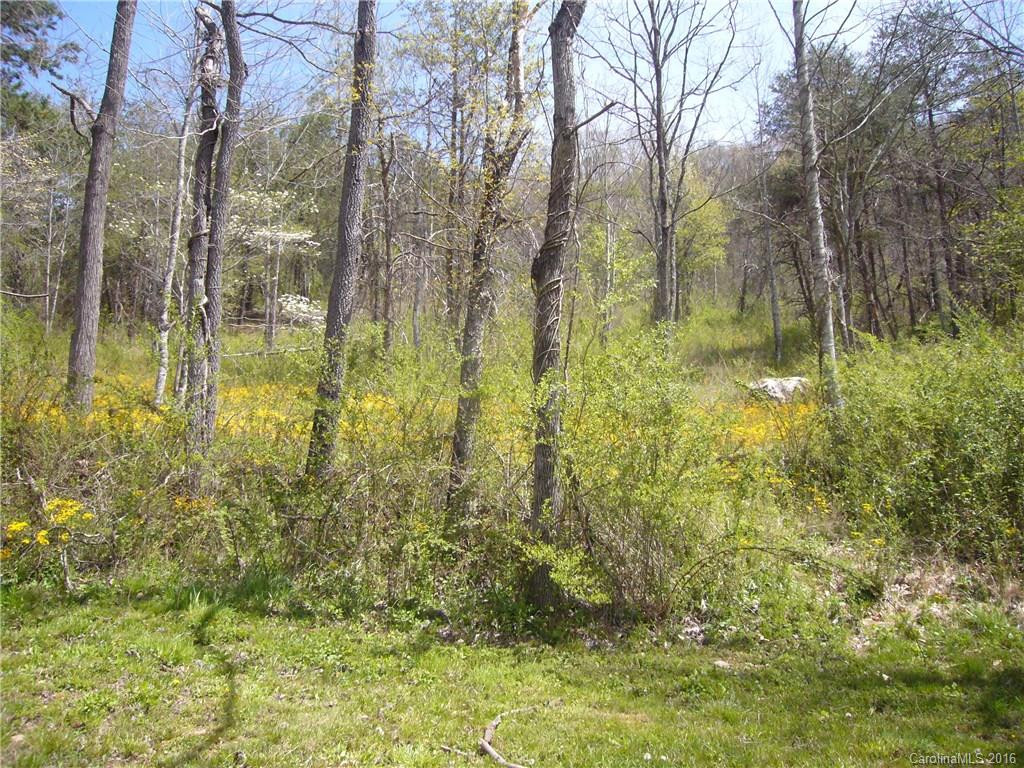 37 Maney Branch Road - Photo 18