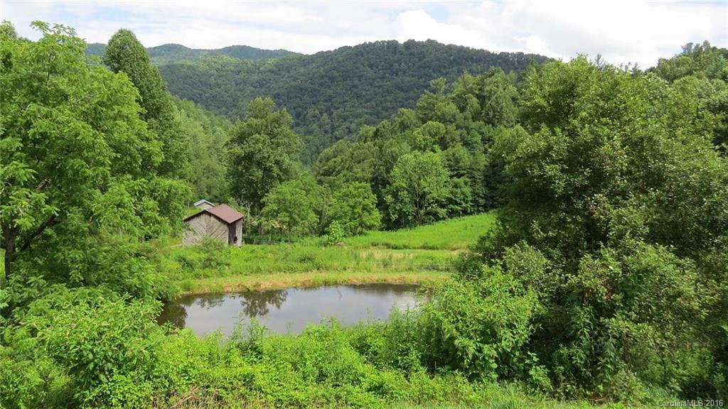 405 Freedom Lane - Photo 3