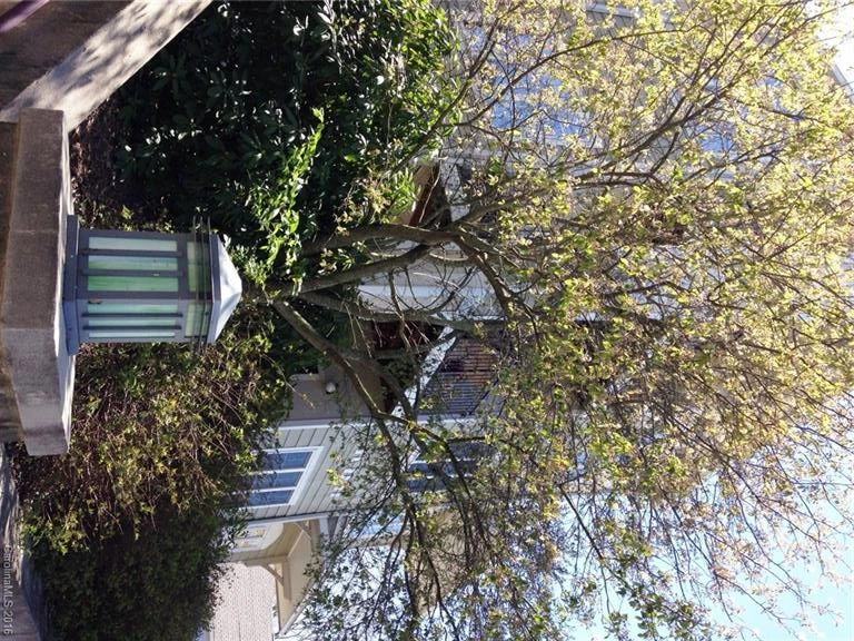 64 Clingman Avenue #207
