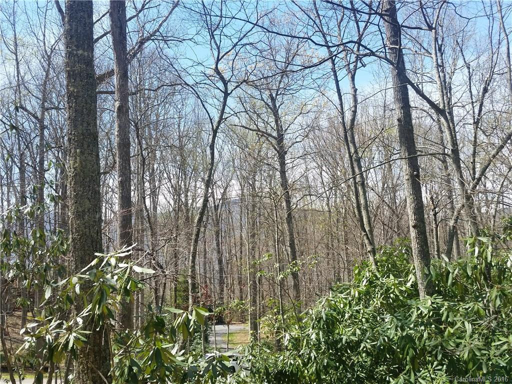 79 Crestmont Drive - Photo 4