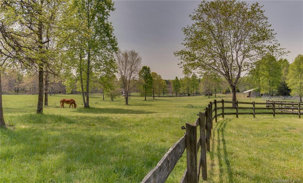 550 Stirrup Downs Lane #NA - Photo 22