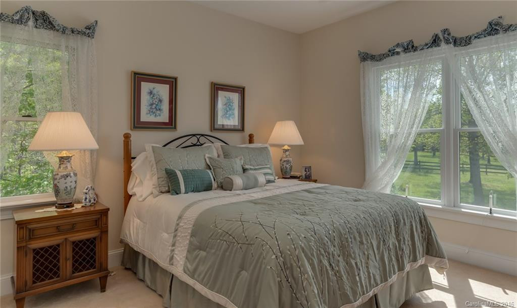 550 Stirrup Downs Lane #NA - Photo 8