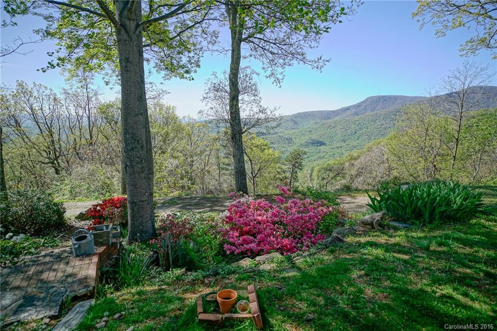 2889 Hogback Mountain Road - Photo 3