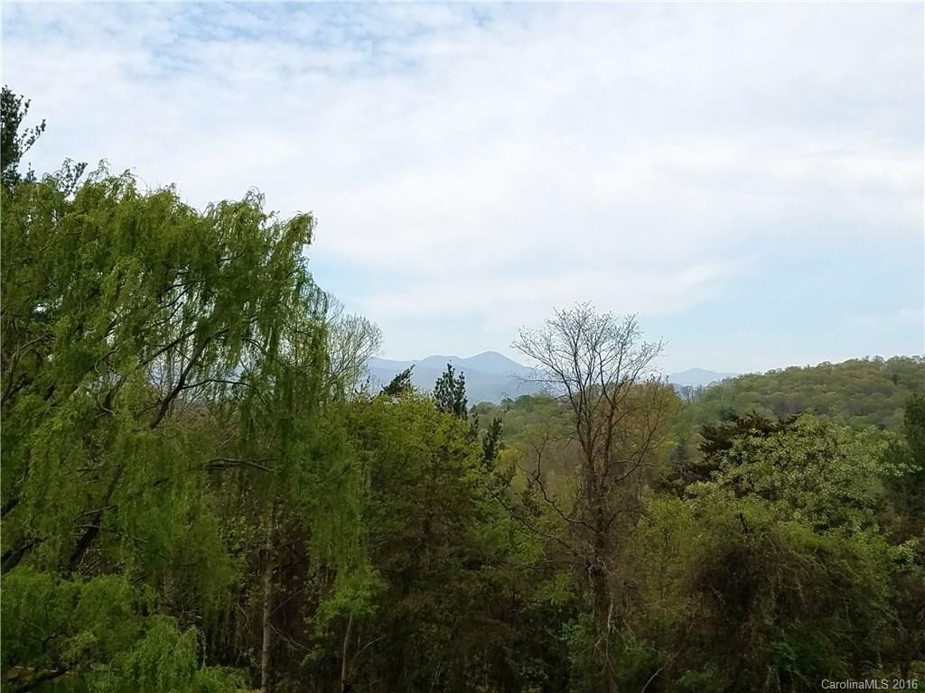 305 Piney Mountain Drive #H1 - Photo 3