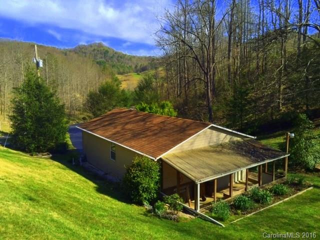 262 Sandy Mush Creek Road - Photo 3