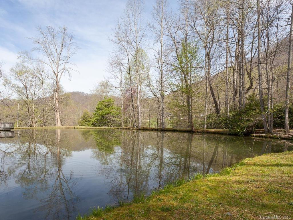 347 Town Branch Road - Photo 2