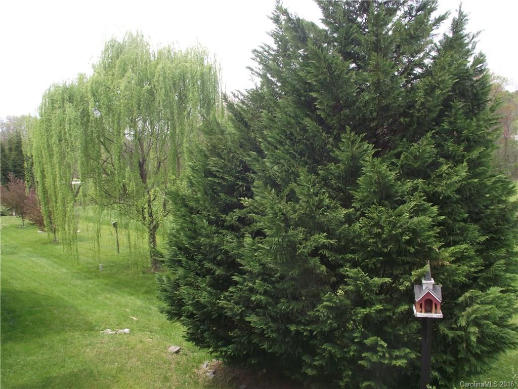 76 Clear Creekside Drive - Photo 16