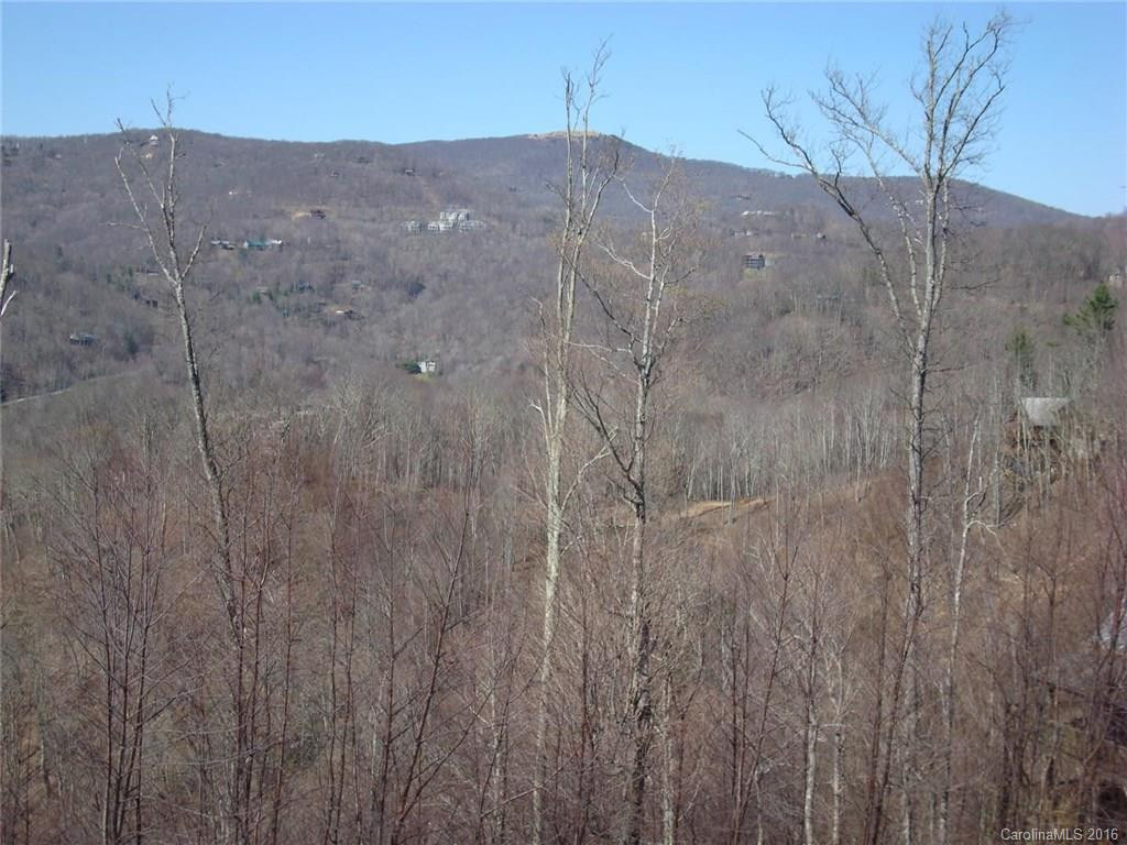21 Scenic Wolf Ridge Drive #2 - Photo 6