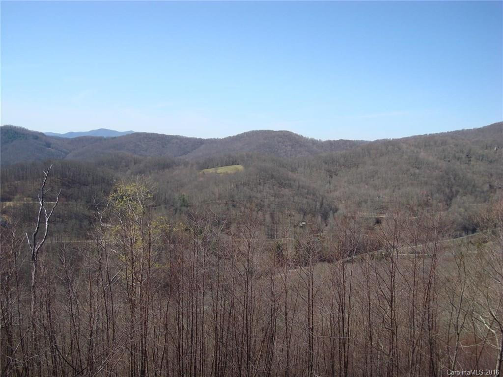 21 Scenic Wolf Ridge Drive #2 - Photo 7
