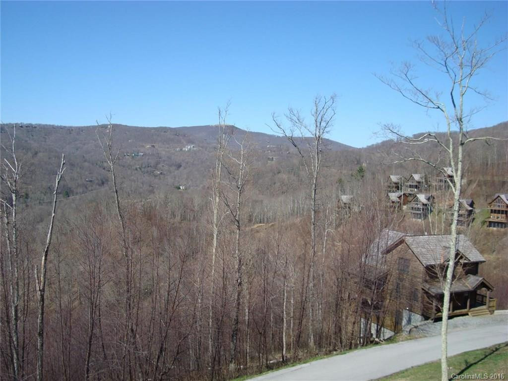 21 Scenic Wolf Ridge Drive #2 - Photo 8