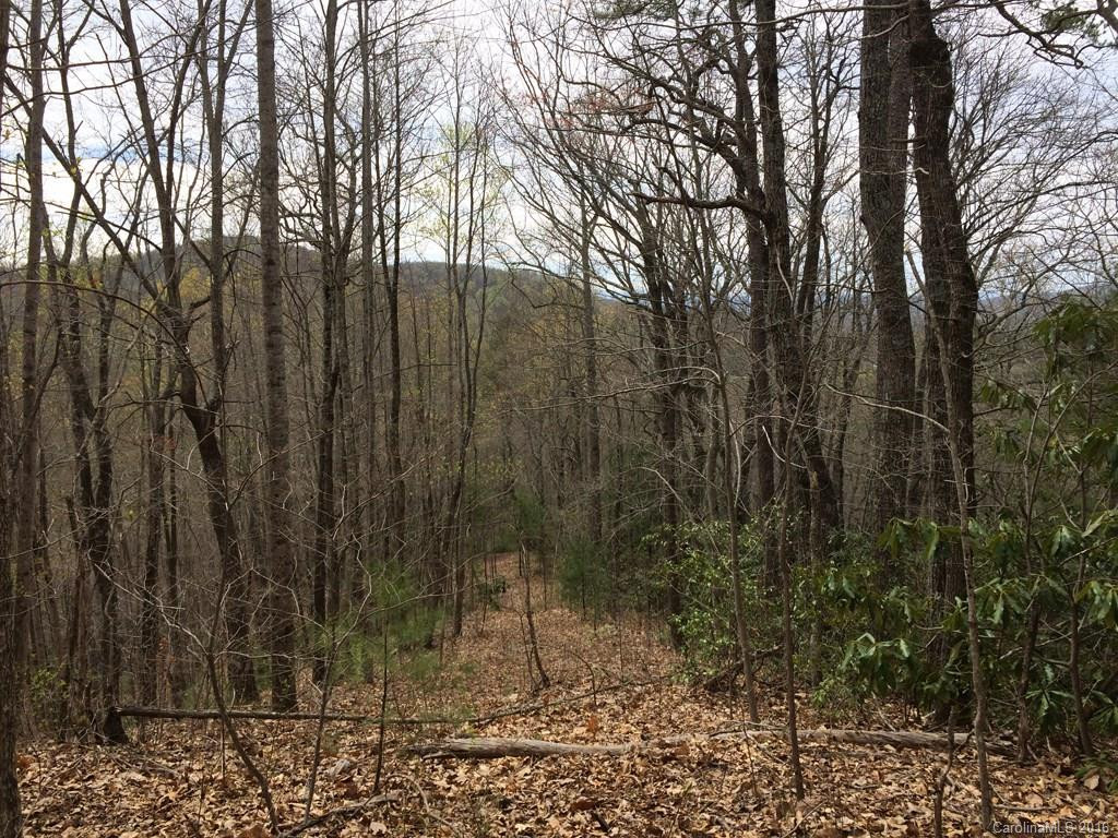 642 & 654 Brush Creek Road - Photo 23